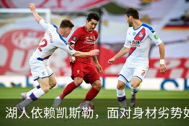 湖人依赖凯斯勒，面对身材劣势如何寻求补强？